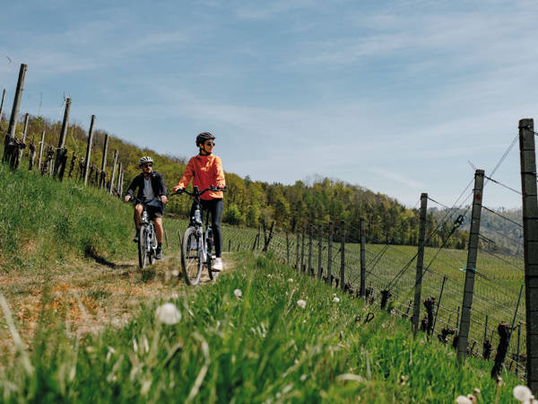 paar auf dem e-bike in den reben