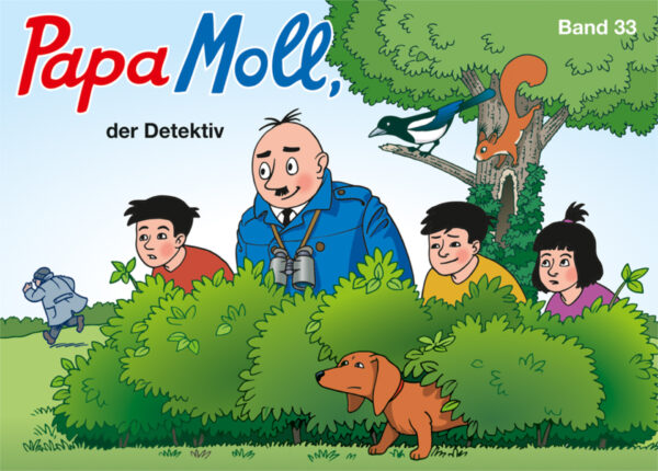 papa moll buch band 33